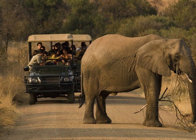 Warmest Places in South Africa During Winter