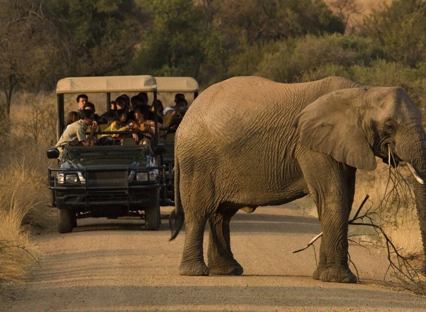 Warmest Places in South Africa During Winter