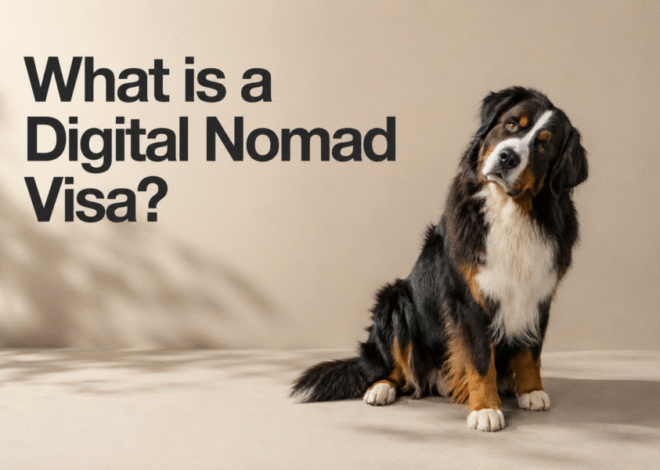 Digital Nomad Visas Explained for South Africans