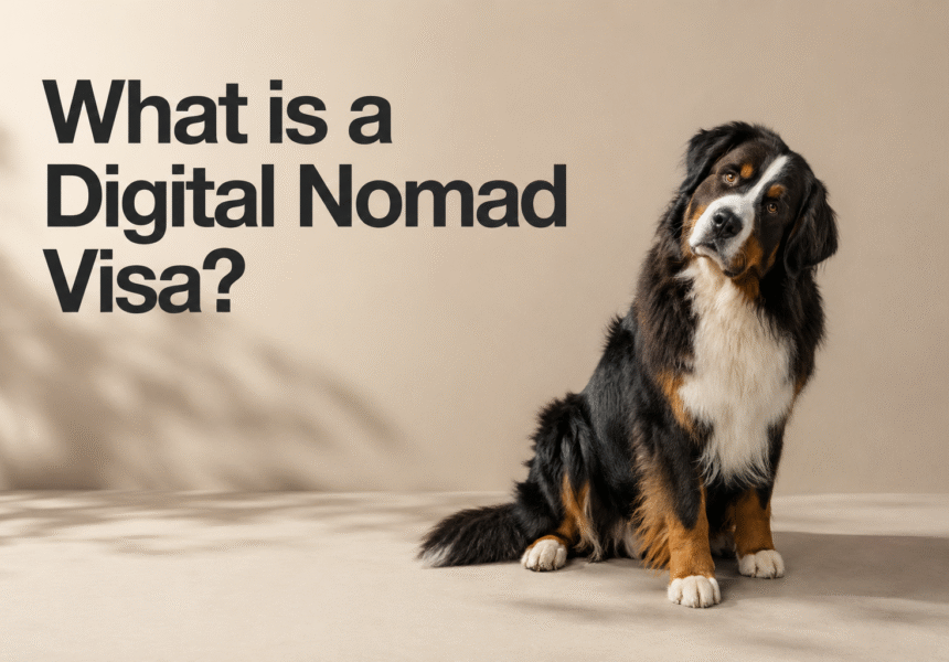 Digital Nomad Visas Explained for South Africans