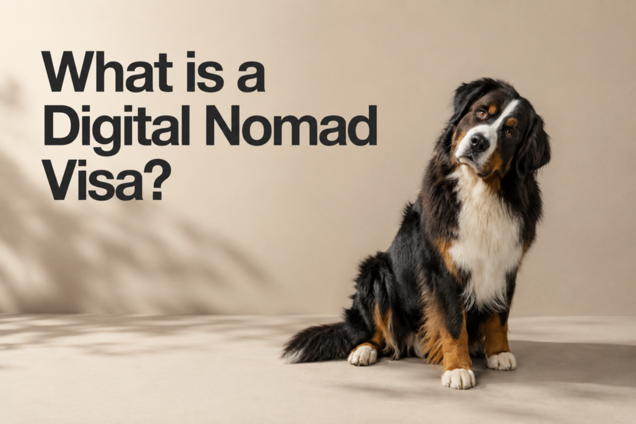 Digital Nomad Visas Explained for South Africans